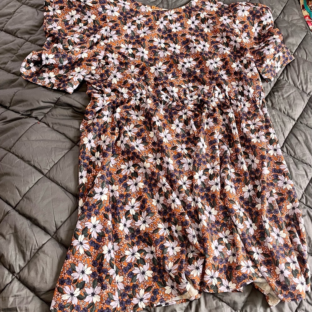 Eloquii Floral Dress, Slight Puffed Shoulders. Size 22